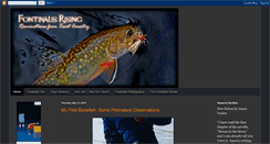 Desktop Screenshot of fontinalisrising.com